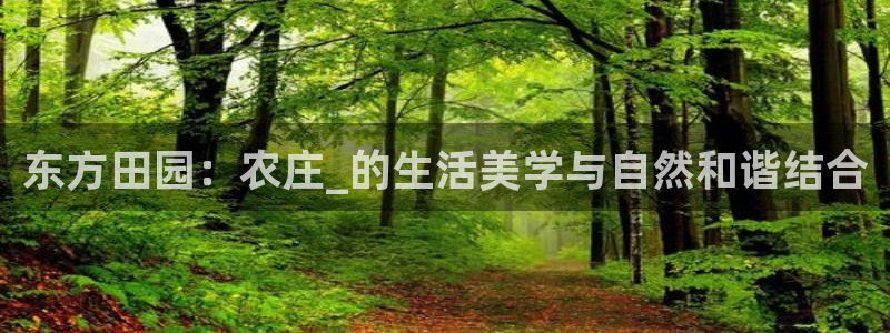 天辰娱乐1980