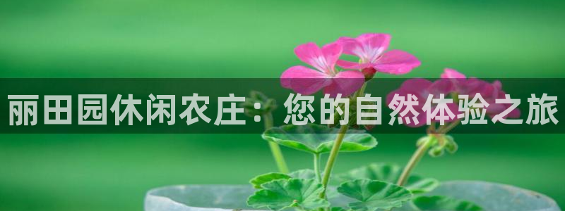 天辰娱乐 728567