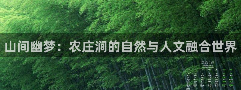 天辰娱乐平台地址在哪里