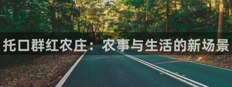 天辰娱乐下载地址