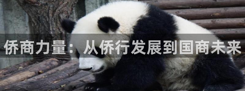 天辰娱乐39974神