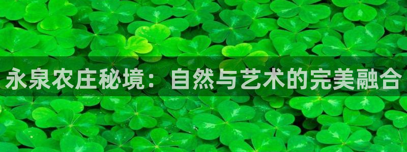天辰娱乐彩票