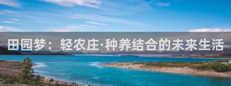 天辰娱乐 231639