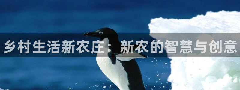 天辰娱乐tff