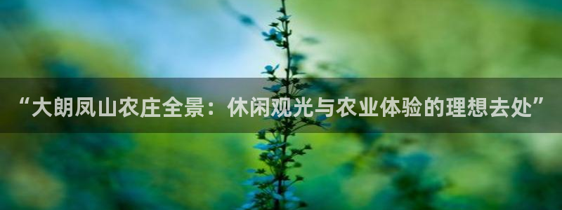 天辰 娱乐