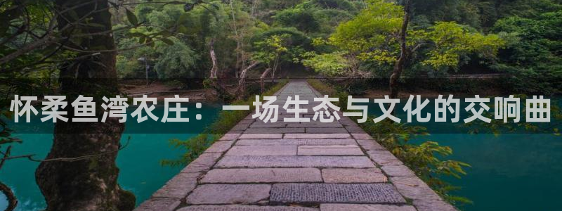 天辰娱乐官