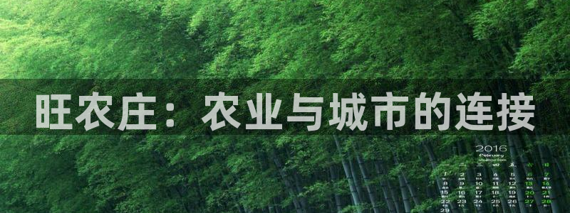 天辰娱乐服务