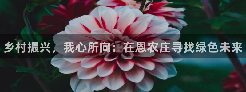 天辰娱乐娱乐平台