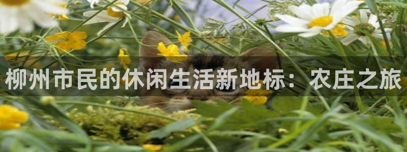 常州天辰娱乐