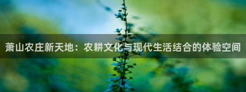 天富娱乐天辰娱乐