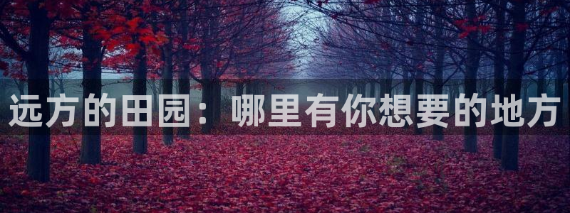 南京天辰娱乐