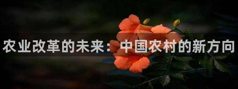 天辰天辰娱乐