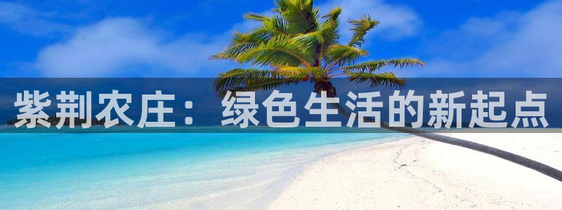 天辰娱乐输了