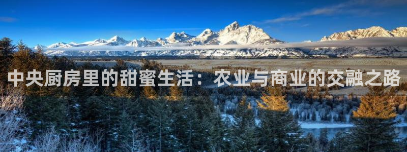天辰娱乐欢乐