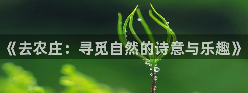 天辰线上娱乐