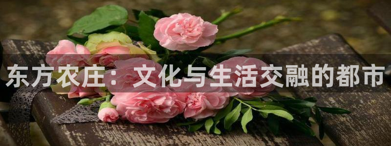 天辰娱乐小妹