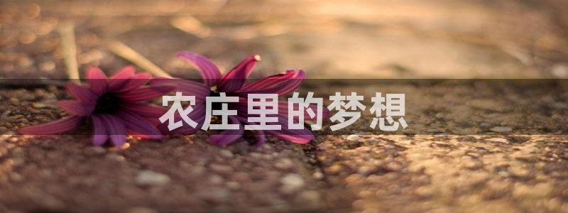 哈尔滨天辰娱乐