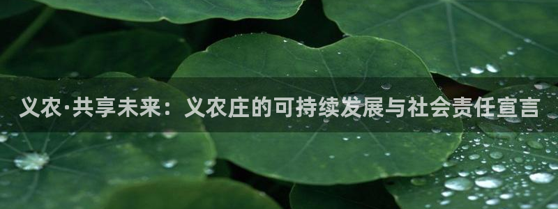 天辰娱乐黑人