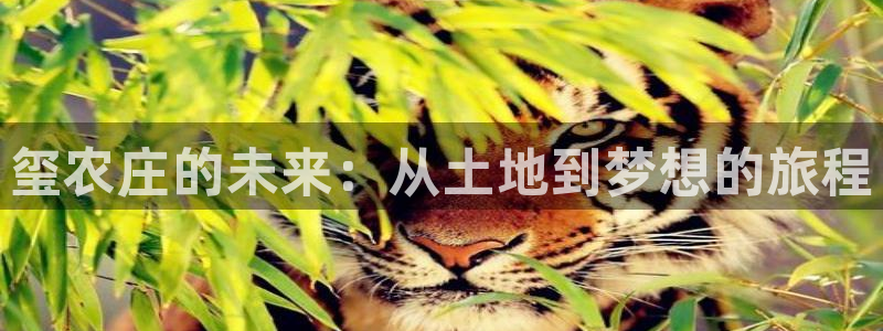 天辰天富娱乐