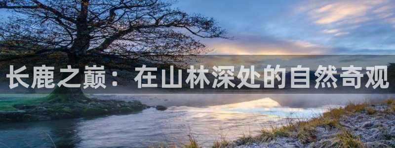 天辰天辰娱乐