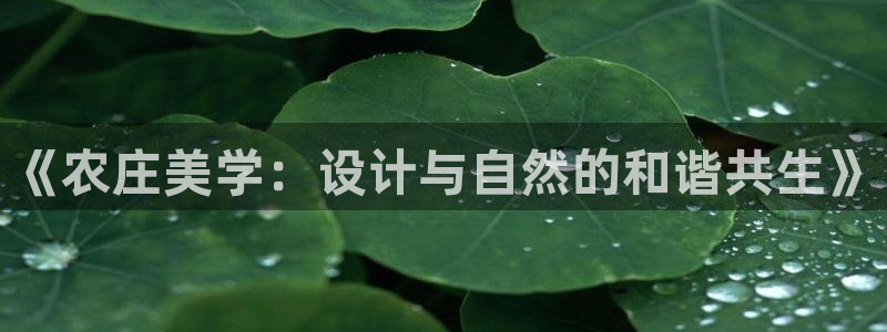 天辰娱乐1996