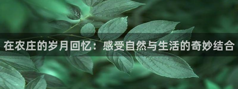 天辰娱乐测速
