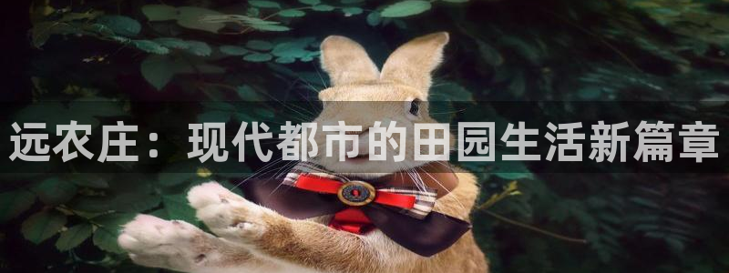天辰娱乐官方网