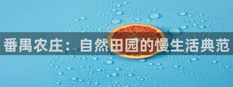 天辰娱乐服务