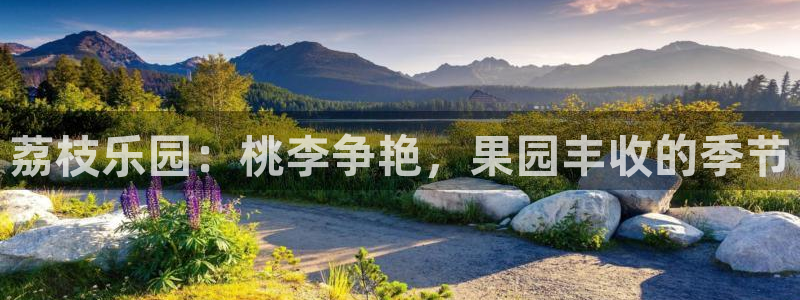 天富娱乐与天辰娱乐