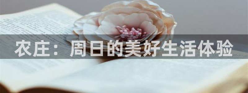 天辰娱乐怎么样