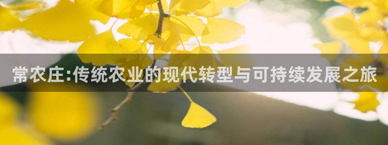 天辰娱乐60447