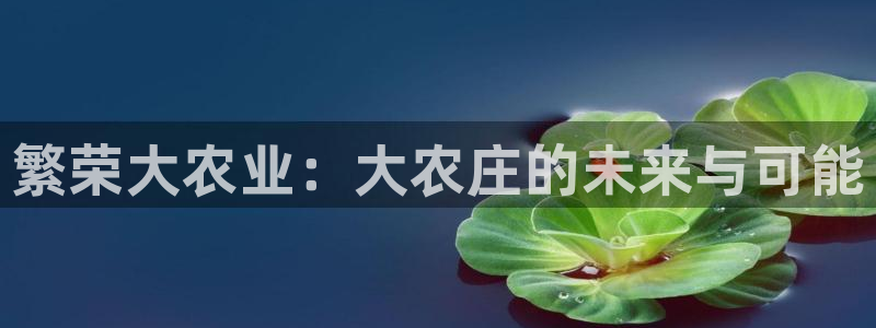 天辰娱乐平台地址在哪里