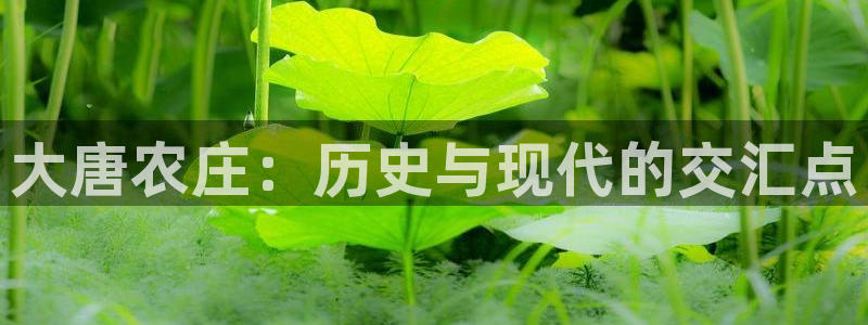 天辰娱乐欢乐