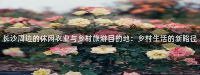 天辰娱乐反水