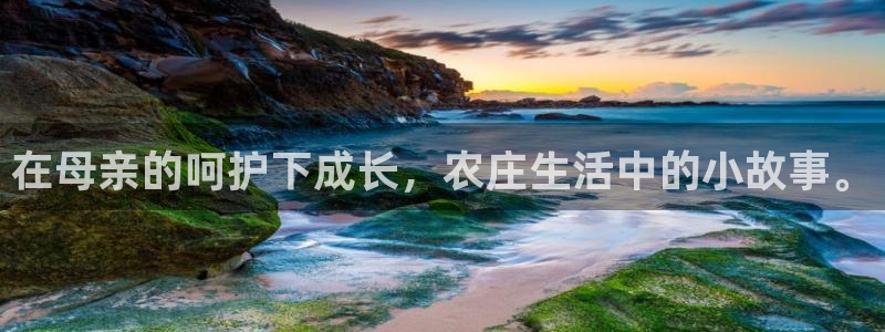 天辰臣娱乐
