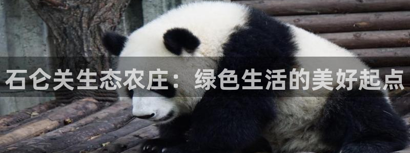 天辰娱乐平台安全吗