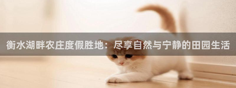 天辰娱乐 231639