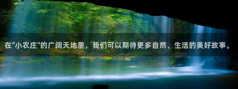 天辰娱乐股票