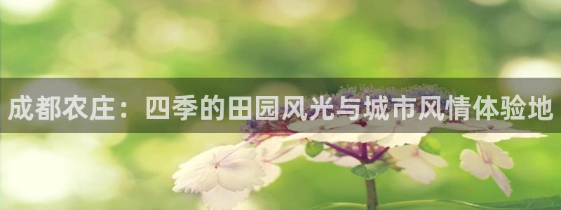 天辰娱乐会所