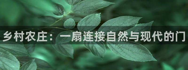 集宁天辰娱乐