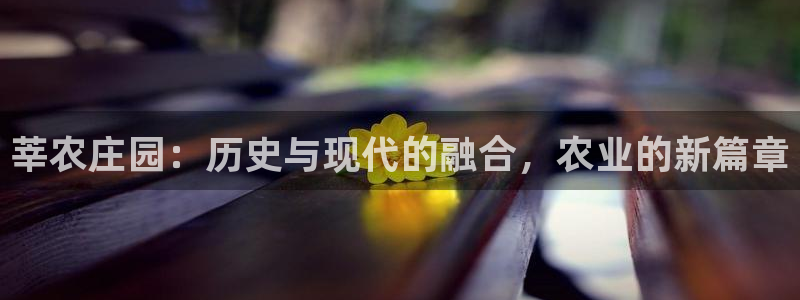 天辰娱乐728567