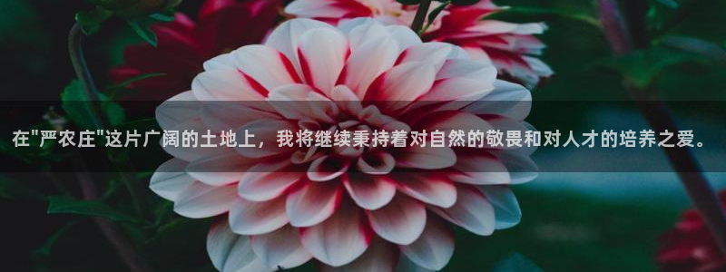 天辰娱乐22650