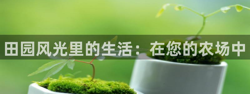 辰天娱乐用品