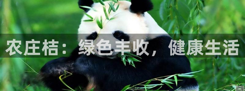 天辰娱乐内部