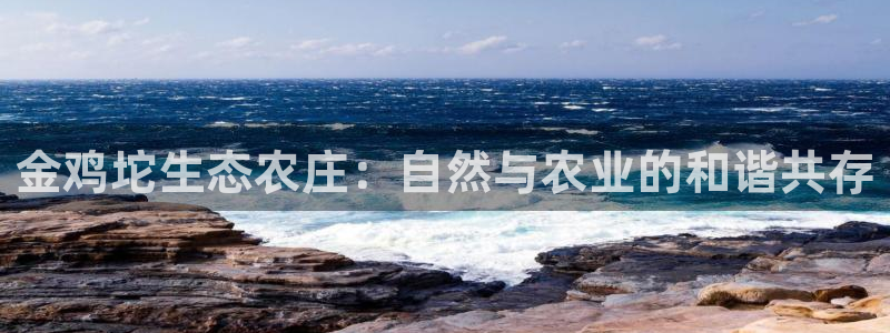 天辰娱乐线路