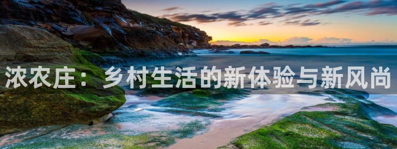 天辰娱乐老板