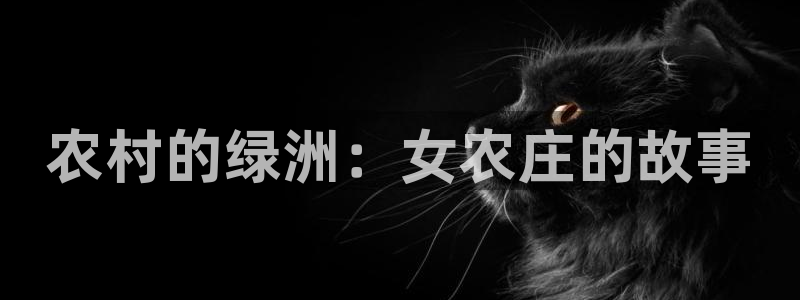 天辰娱乐测速