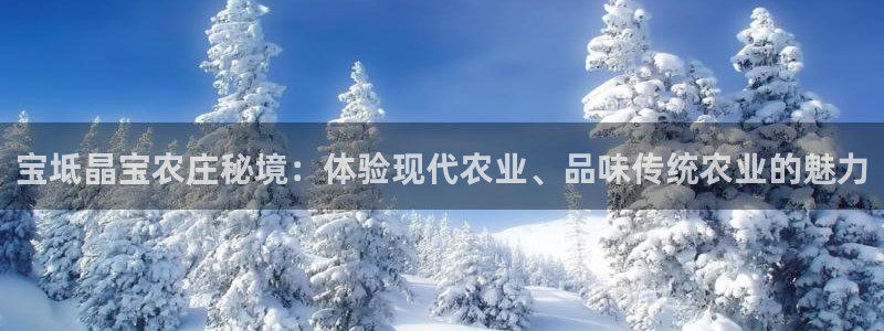 天辰娱乐十分彩