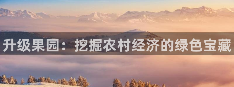 天辰娱乐 首选