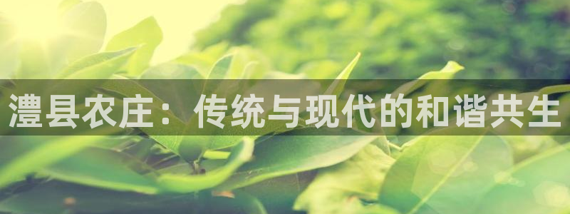 徐州天辰娱乐